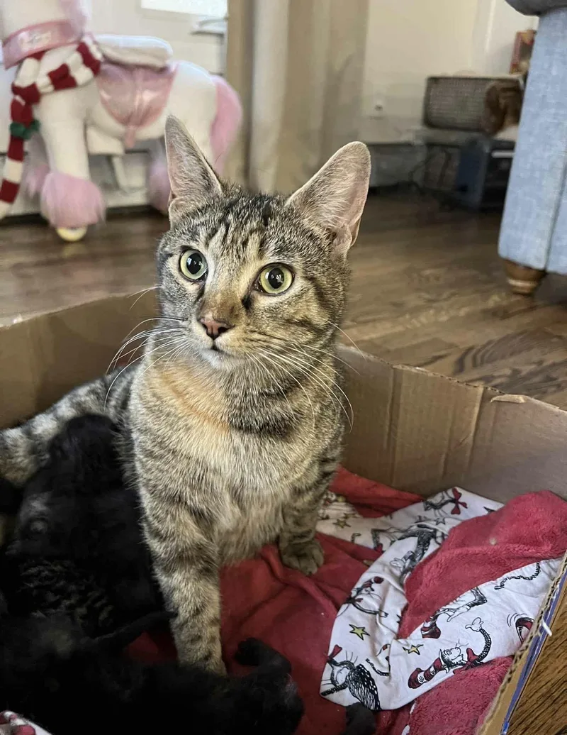 Nora Ched & Naomi thumbnail 2