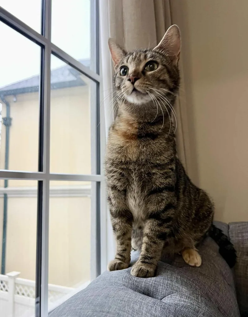 Nora Ched & Naomi thumbnail 4