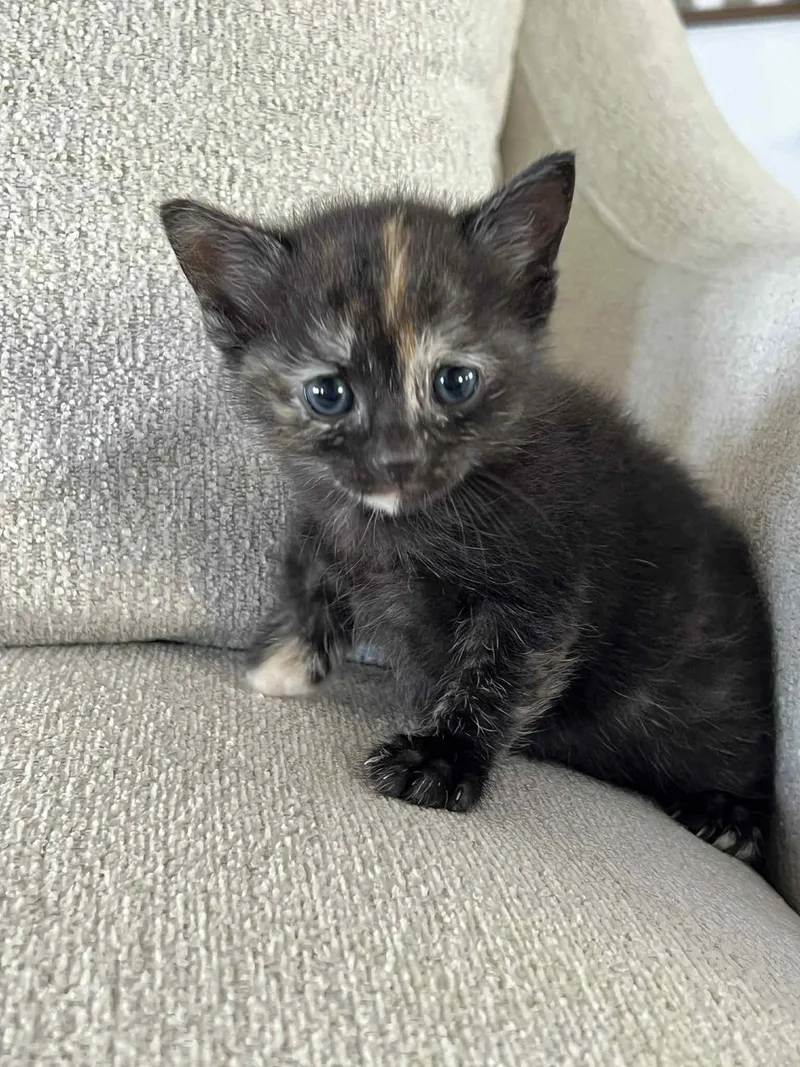 Nora Ched & Naomi thumbnail 5