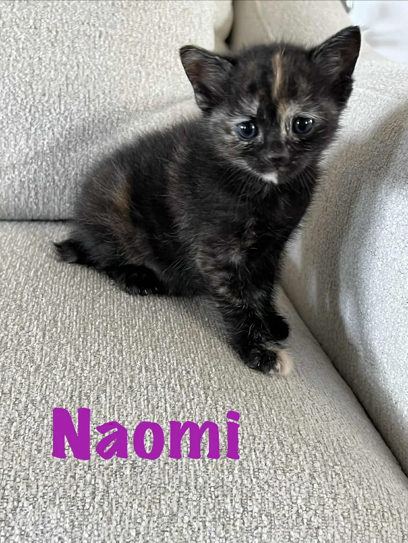 Nora Ched & Naomi thumbnail 6