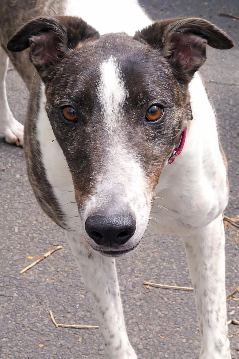 Knot Over It thumbnail 2