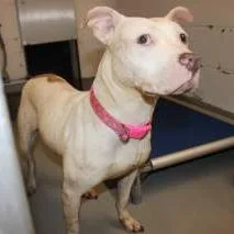 Priscilla"prissy" thumbnail 2