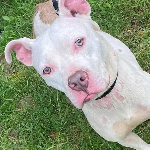 Priscilla"prissy" thumbnail 3