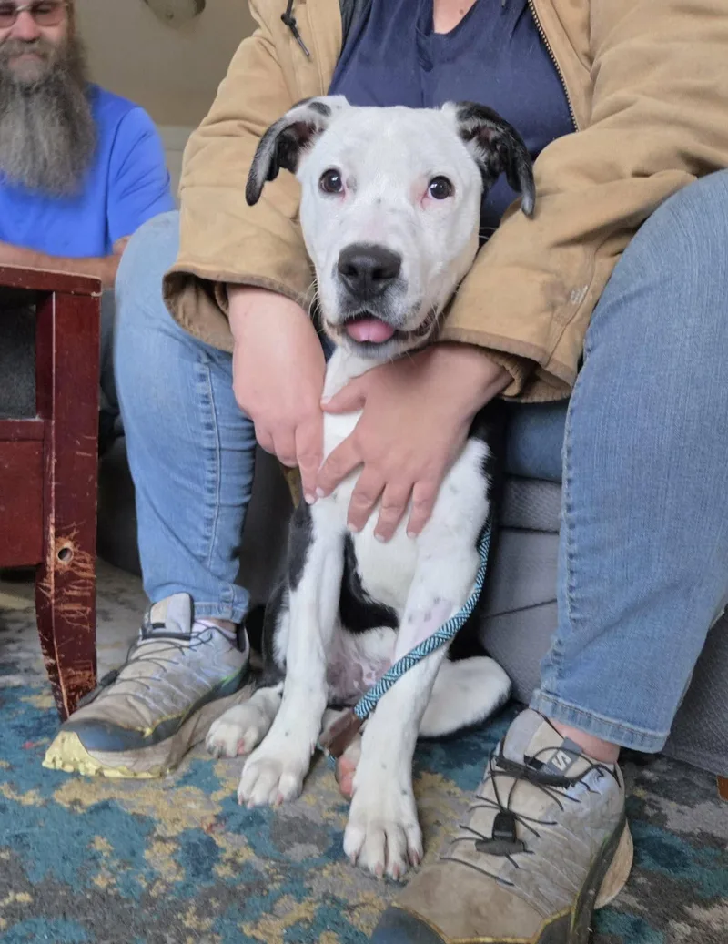 Rutabaga thumbnail 5