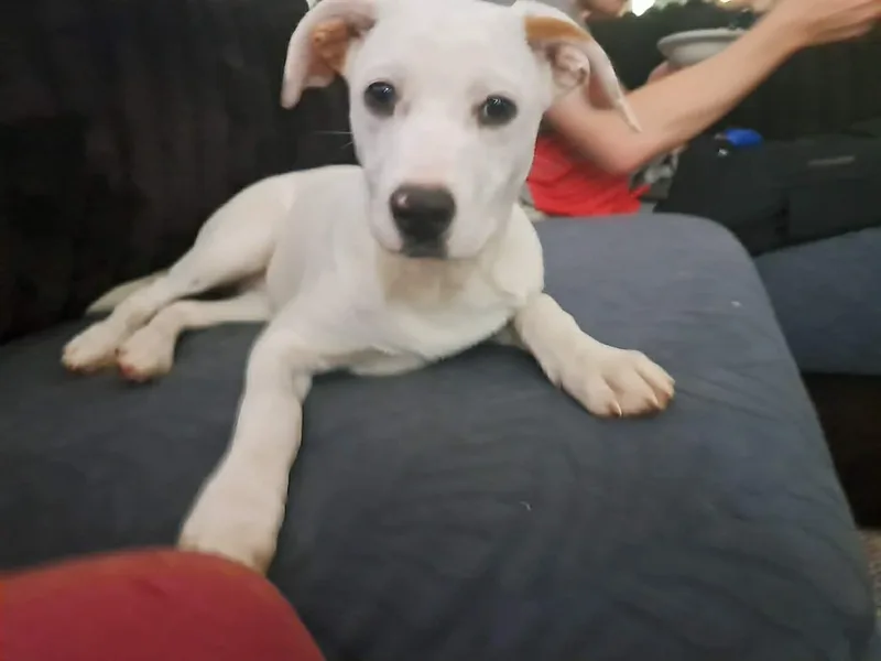 Maddie thumbnail 2