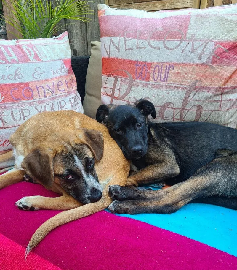 June And Jilly thumbnail 2