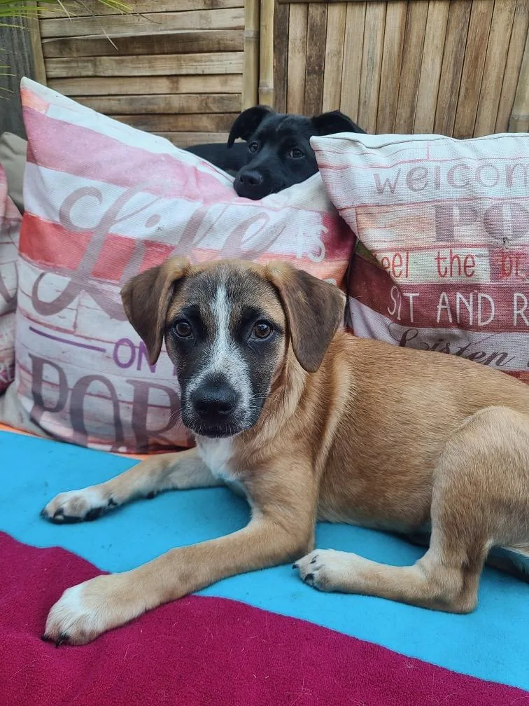 June And Jilly thumbnail 3