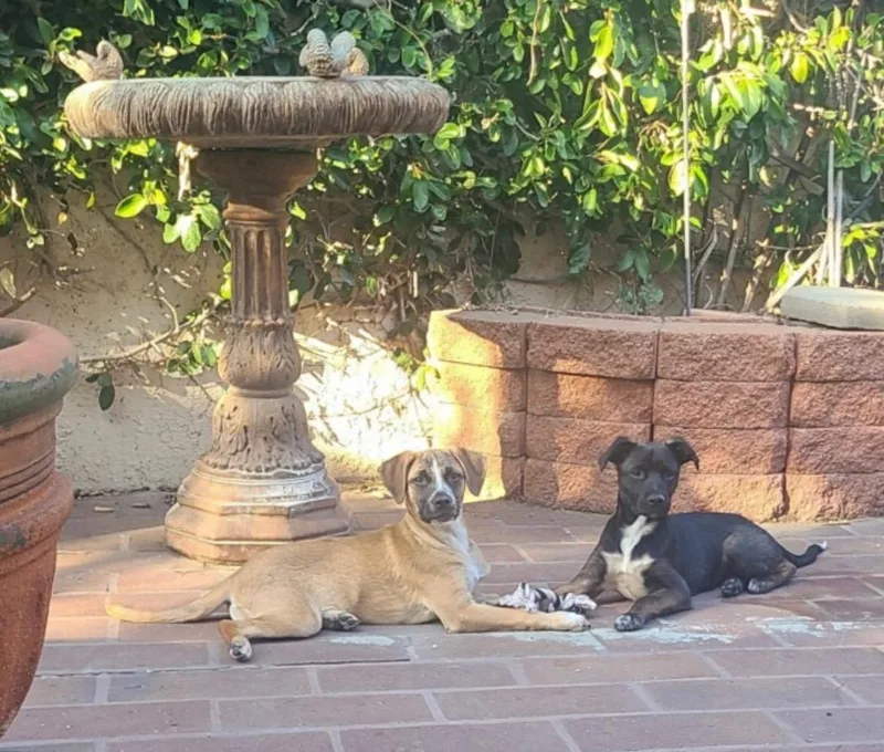 June And Jilly thumbnail 4