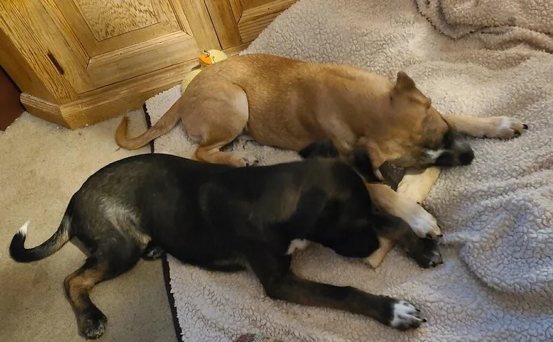 June And Jilly thumbnail 5