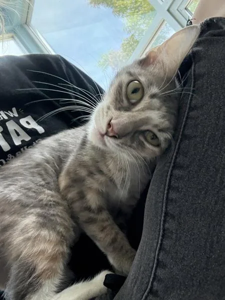 Cloudy