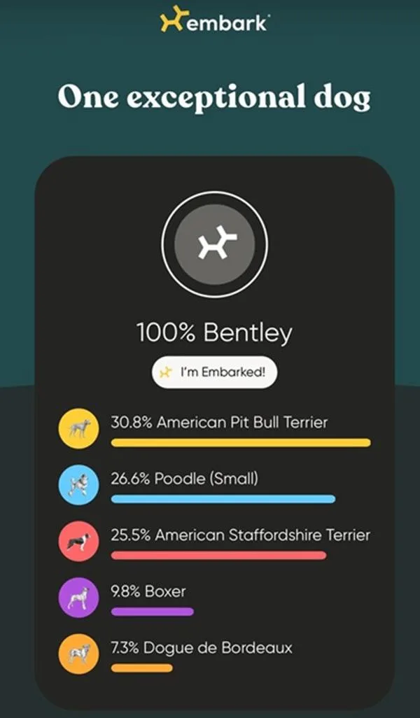 Bentley
