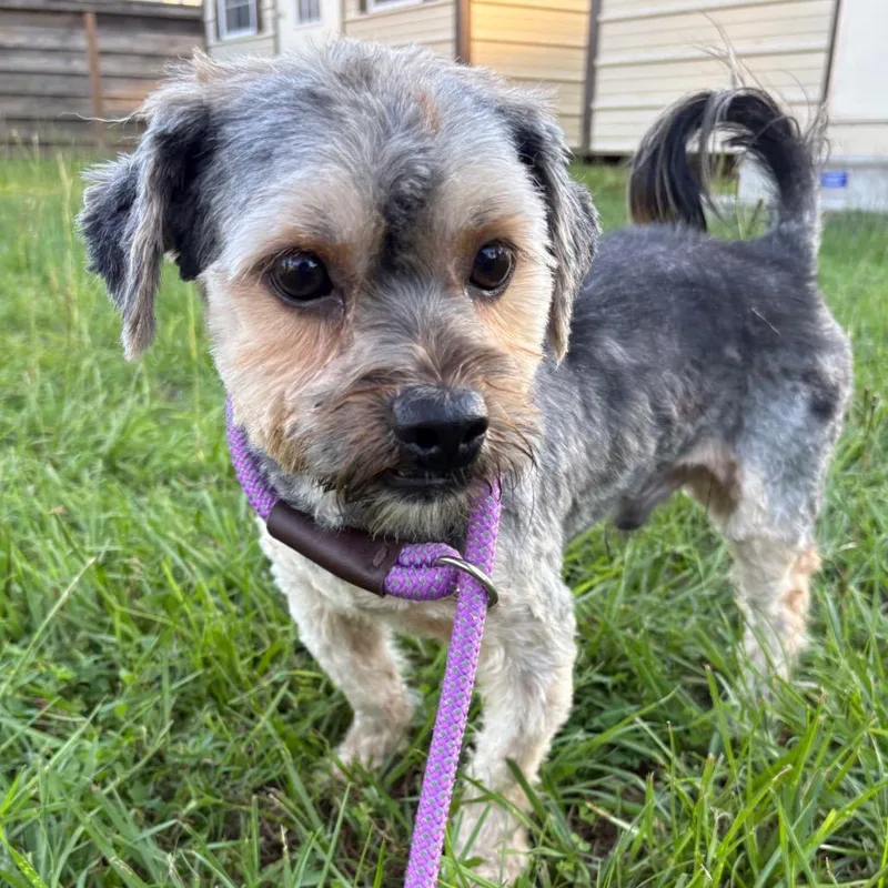 Eziah thumbnail 4