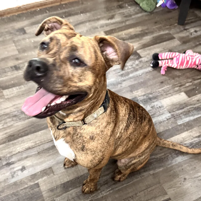 River Leigh thumbnail 2