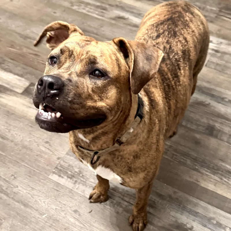 River Leigh thumbnail 3