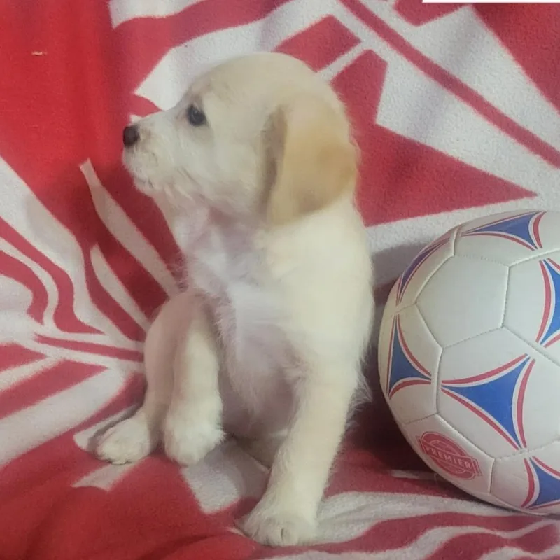 Ellie thumbnail 2