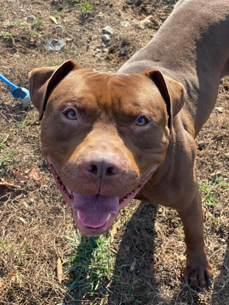 Sharkboy thumbnail 4