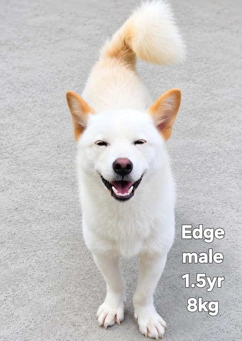 Edge thumbnail 5