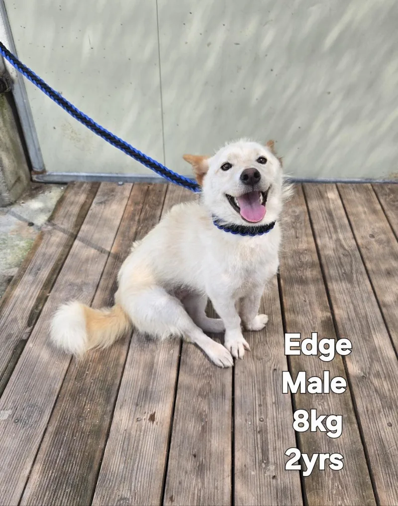 Edge thumbnail 6