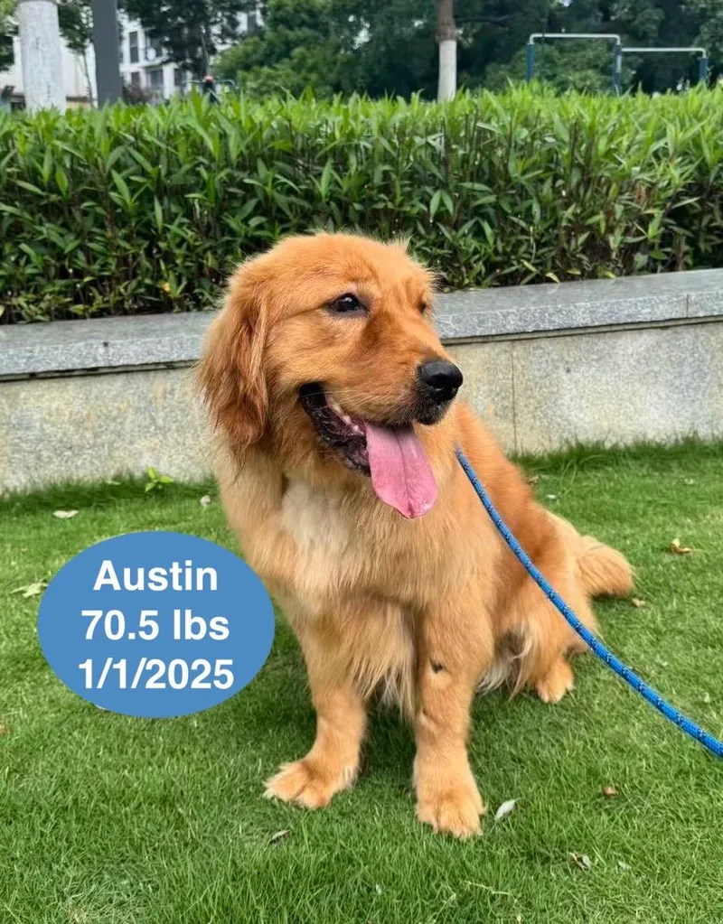 Austin thumbnail 2