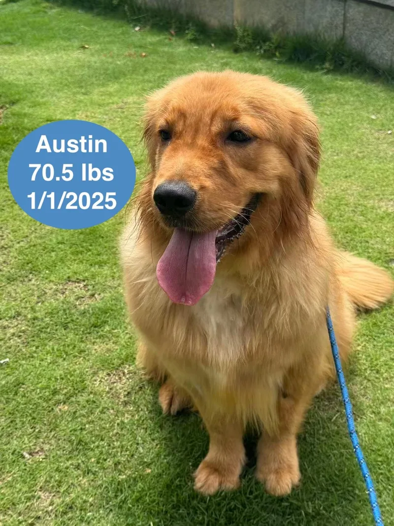 Austin thumbnail 3
