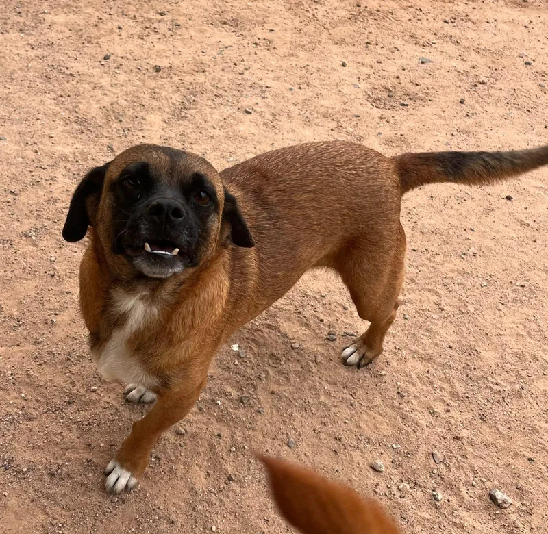 Maximo
