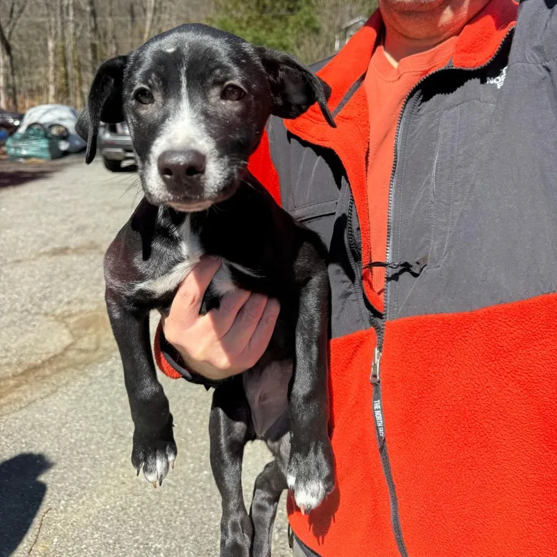 Ny Miley Avail Apr thumbnail 3