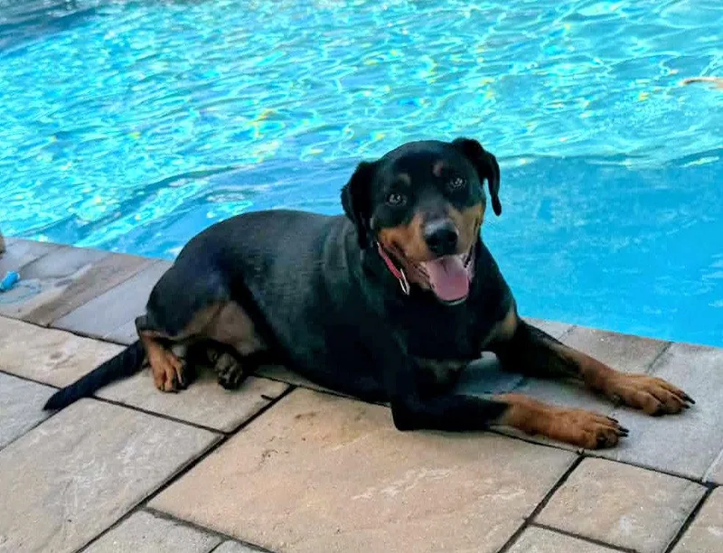 Duke