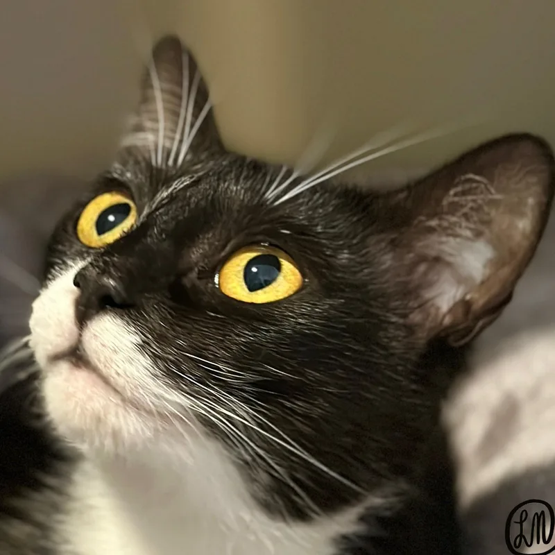 Francine thumbnail 4