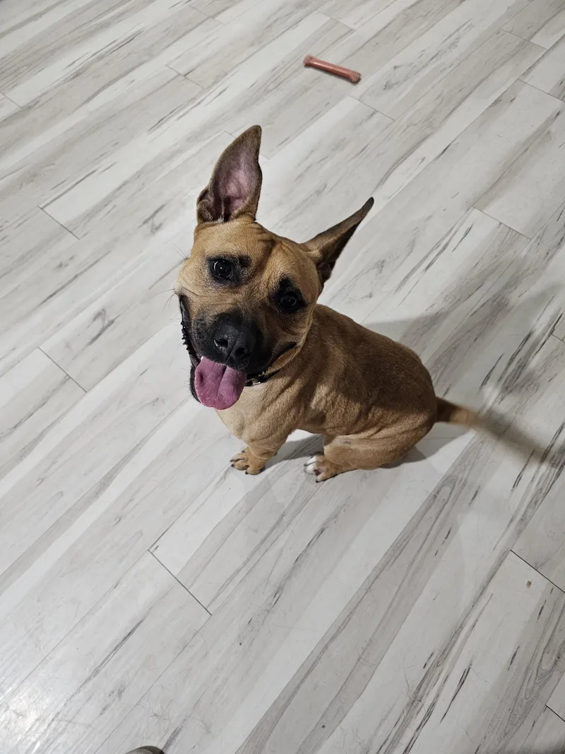 Happy Snaps thumbnail 3