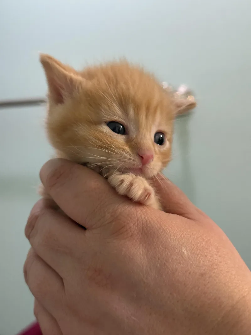 Hot Take thumbnail 2