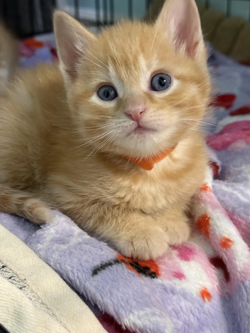 Hot Take thumbnail 3