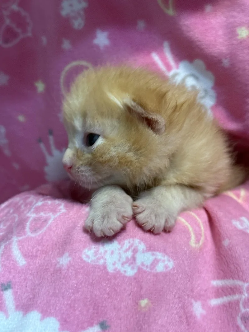 Hot Take thumbnail 4