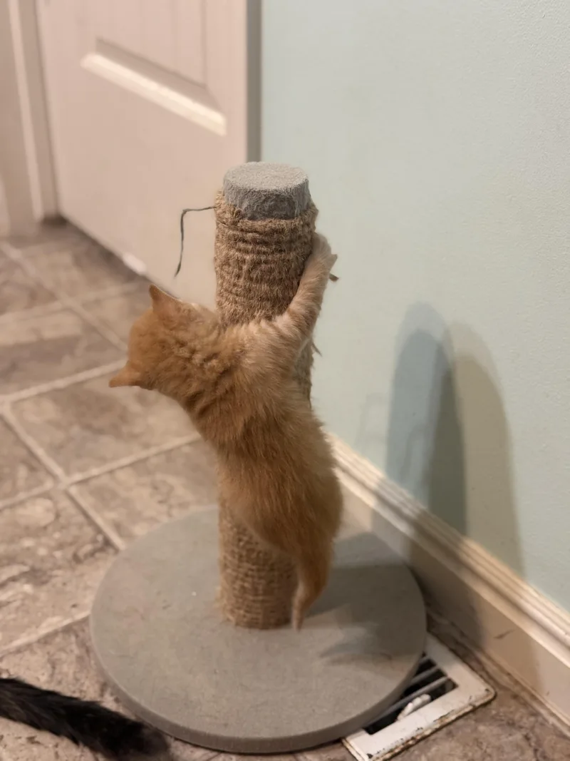 Hot Take thumbnail 5