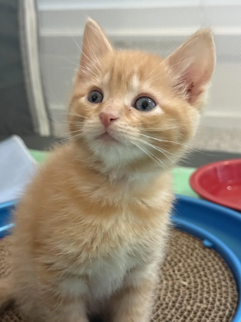 Hot Take thumbnail 6