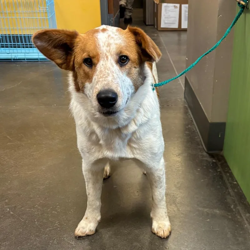 Ms.mabel thumbnail 2