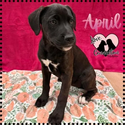 April