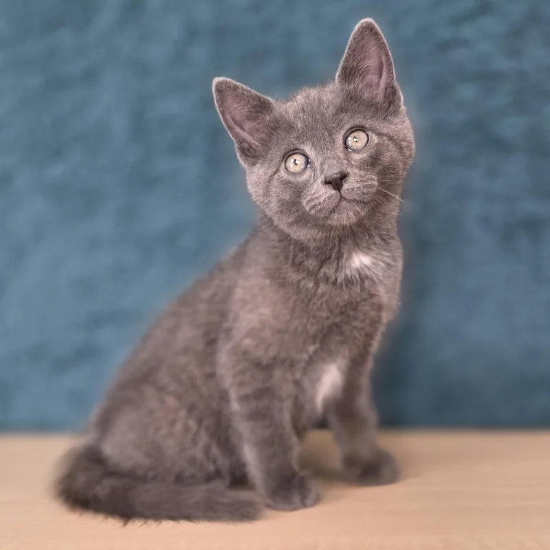 Etch A Sketch thumbnail 2