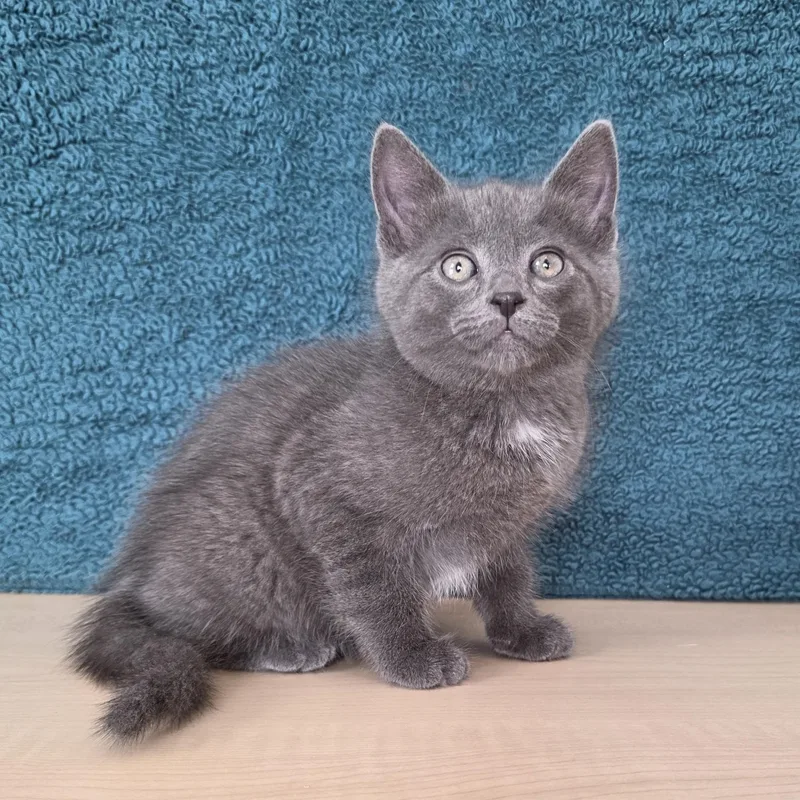 Etch A Sketch thumbnail 3