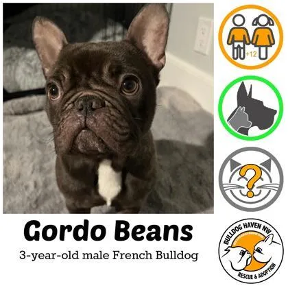 Gordo Beans