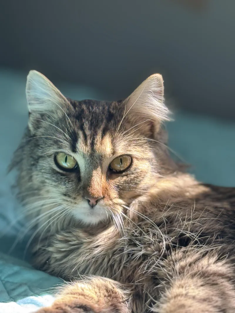 Abby