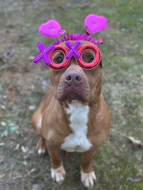 Soda Pop thumbnail 2