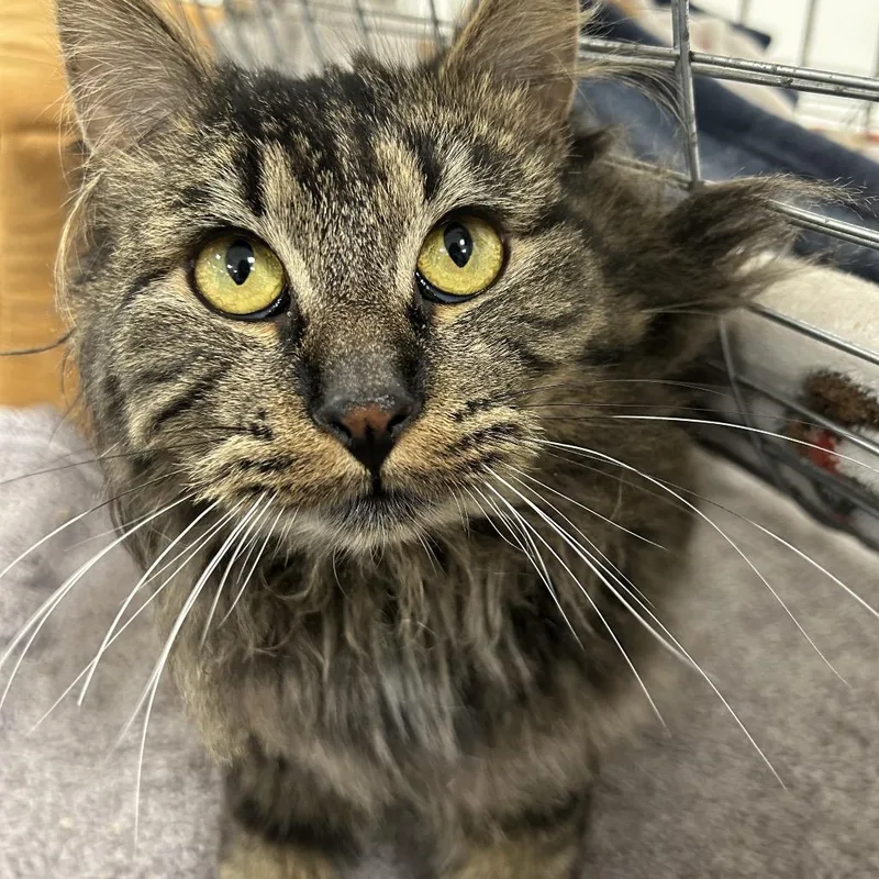 It's A Wonderful Life