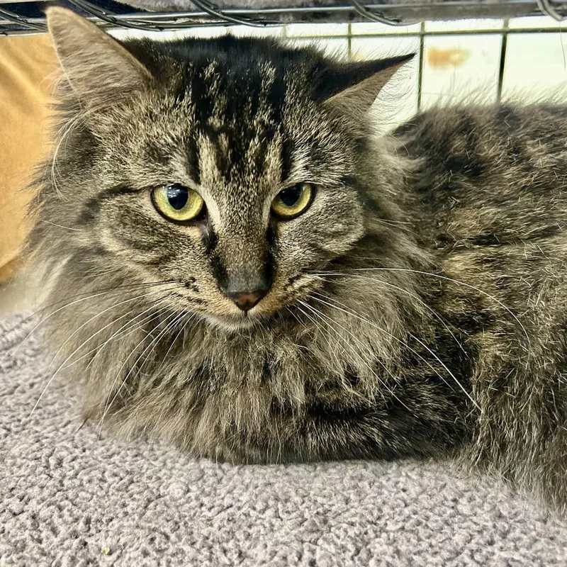 It's A Wonderful Life thumbnail 3