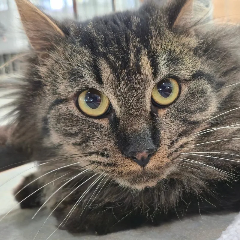 It's A Wonderful Life thumbnail 5