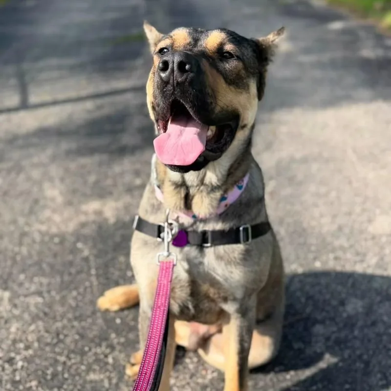 Axel