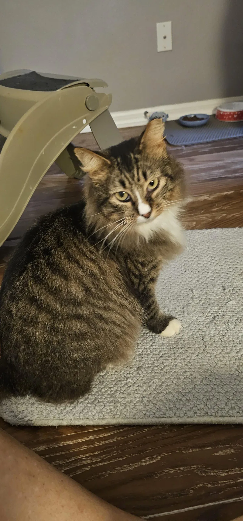 Siegfried & Roy .. thumbnail 2