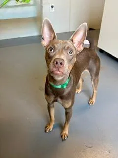 Max