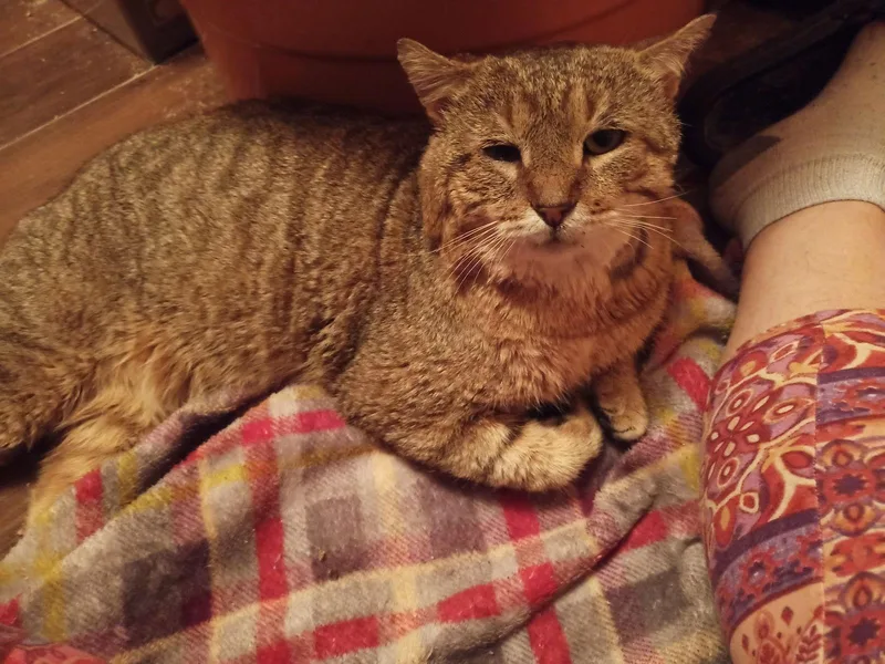 Nunchucks thumbnail 2