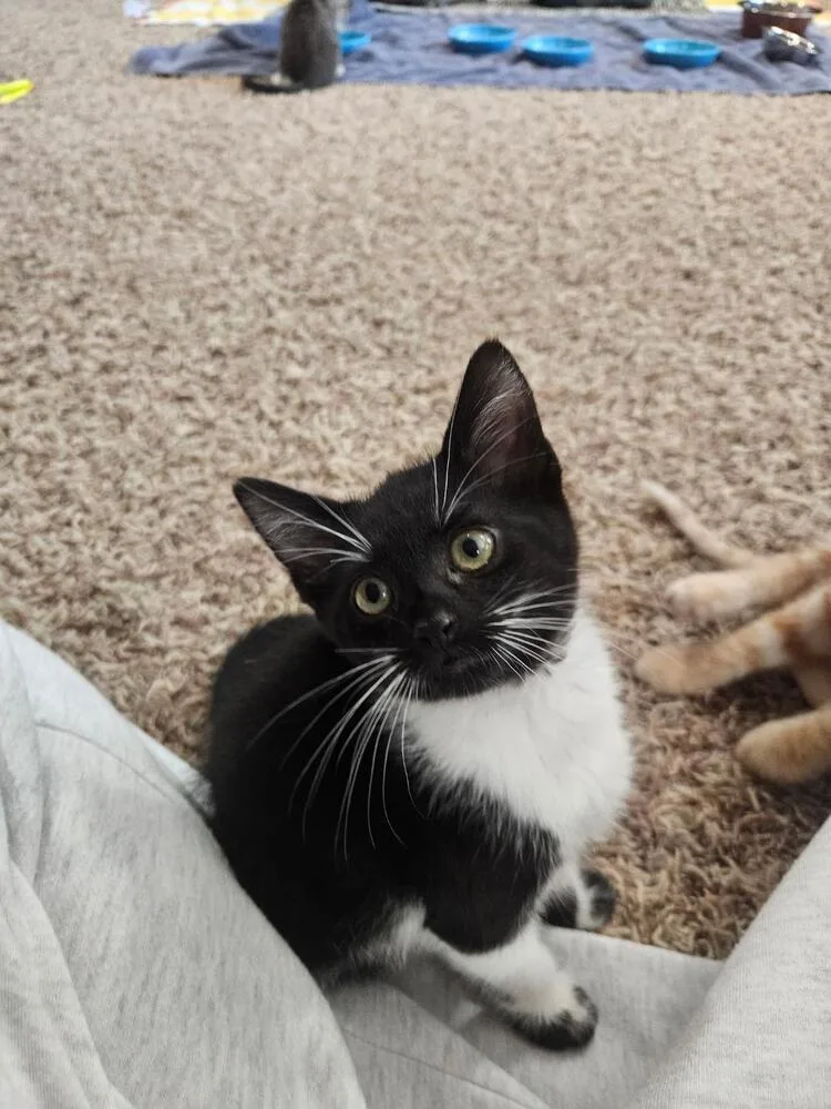 Minnie thumbnail 3
