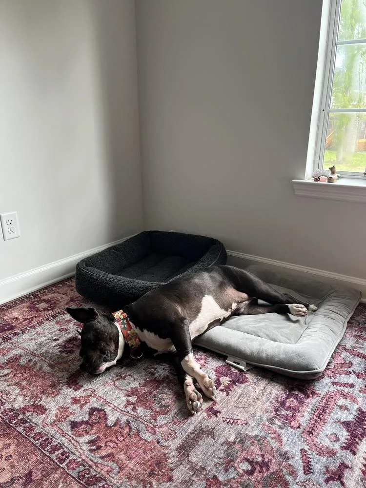 Proud Mary  Tn thumbnail 5